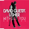 Without You (Remixes) - David Guetta (Pierre David Guetta)