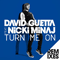Turn Me On (Remixes) - David Guetta (Pierre David Guetta)