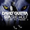 She Wolf (Remixes) - David Guetta (Pierre David Guetta)