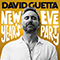 New Year's Eve Party - David Guetta (Pierre David Guetta)