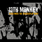 Redefining The Paradigm Of Bang-13th Monkey