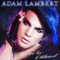 For Your Entertainment - Adam Lambert (Lambert, Adam)