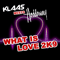 What Is Love 2K9 (Mix-Single) (split) - DJ Klaas (Klaas Gerling)