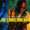 Witness To The Blues - Joe Louis Walker (Walker, Joe Louis)
