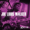 The Best Of The Stony Plain Years - Joe Louis Walker (Walker, Joe Louis)