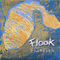 Flatfish - Flook