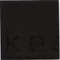 Wolf At The Door (Single) - Keane