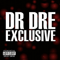 Exclusive - Dr. Dre (Dr Dre / Brickhard / Andre Romel Young)