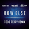 How Else (Todd Terry Remix) (feat. Rich The Kid, ILoveMakonnen) (Single) - DJ Steve Aoki (Aoki, Steve / Kid Millionaire)