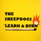 Learn & Burn - Sheepdogs (The Sheepdogs)
