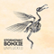 Bonxie Unplucked (EP) - Stornoway