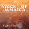 Voice Of Jamaica Vol.3 - Capleton (Clifton George Bailey III)
