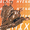 Black Hyena (IOE AIE Remix) - Everything Everything