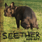 Seether 2002-2013 (CD 2)