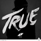 True (Japan Bonus) - Tim Bergling (Berg, Tim / Avicii)