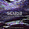 Transience / Family Entertainment (EP) - Scuba (Paul Rose, Spectr, SCB)