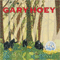 Animal Instinct - Gary Hoey (Hoey, Gary)