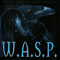 Still Not Black Enough {Limited Edition)-W.A.S.P. (WASP / We Are Sexual Perverts)