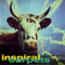 She Comes In The Fall (Single) - Inspiral Carpets