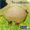 The Castbreeder - Prodigy (GBR) (The Prodigy)