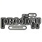 Experience - Prodigy (GBR) (The Prodigy)