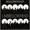 Bellowhead present - Umbrellowhead