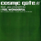 I Feel Wonderful (EP) (feat.) - Cosmic Gate ( Claus Terhoeven & Stefan Bossems)