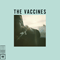 Wetsuit / Tiger Blood (Single) - Vaccines (The Vaccines)