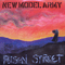 Poison Street (Single) - New Model Army