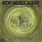 Green And Grey (Single) - New Model Army