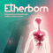Etherborn (Original Game Soundtrack) (by Gabriel Garrido Garcia)-Soundtrack - Games (Музыка из игр)