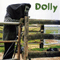 Sunday Afternoon - Dolly (Dollybird, Dolly & Co)