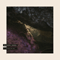 Landslide (EP) - Arcane Roots