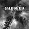 Is This Reality - Badseed