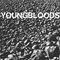 Rock Festival - Youngbloods (The Youngbloods)