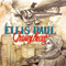 Chasing Beauty - Ellis Paul (Paul Plissey)