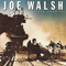 You Bought It You Name It - Joe Walsh (Walsh, Joe)