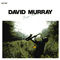 Deep River - Murray, David (David Murray Trio/David Murray Quartet/David Murray Quintet/David Murray Octet, David Murray Big Band)