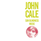 New York In The 1960S, Vol. 1: Sun Blindness Music - Cole, John (John Cole)