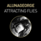 Attracting Flies (Remixes) - AlunaGeorge (Aluna Francis & George Reid)