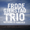 Nothing is Forever - Frode Gjerstad (Gjerstad, Frode / Frode Gjerstad Trio)