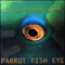 Parrot Fish Eye