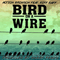 Bird On A Wire (Feat.)