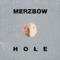 Hole - Merzbow (Masami Akita, Pornoise)