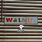 Walnut - Juj