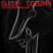 Destructive Process - Sleep Column