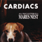 All That Glitters Is A Mares Nest - Cardiacs