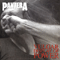 Vulgar Display of Power (20th Anniversary 2012 Edition) - Pantera