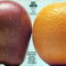 Apples and Oranges - Hamilton, Scott (Scott Hamilton)