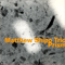 Prism - Matthew Shipp (Matthew Shipp Trio / Matthew Shipp Quartet)